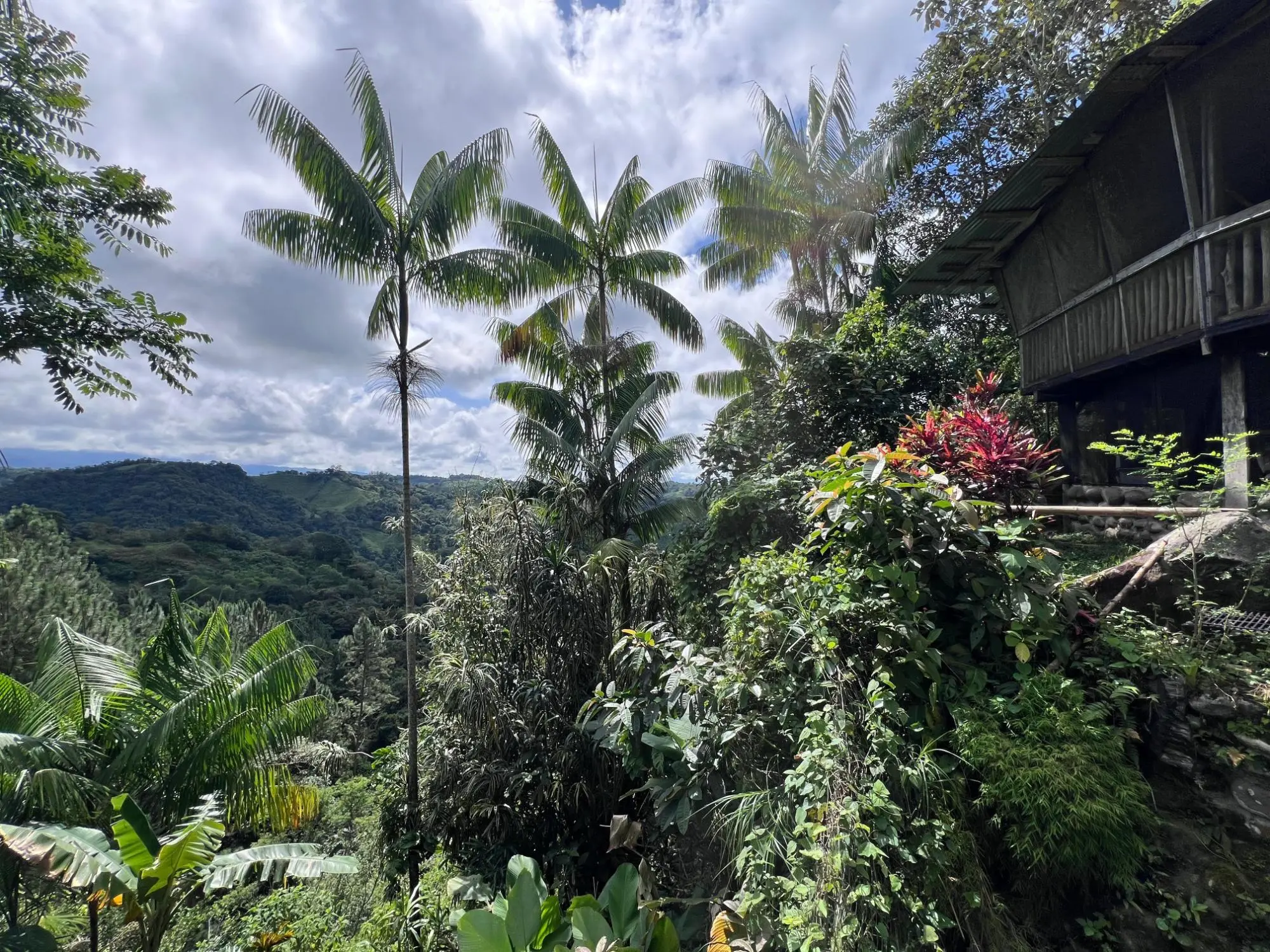 Bugaba Chiriqui - Photo 7