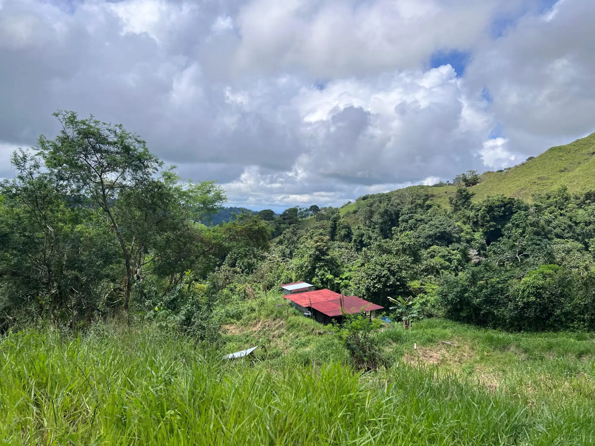 Bugaba Chiriqui - Photo 43
