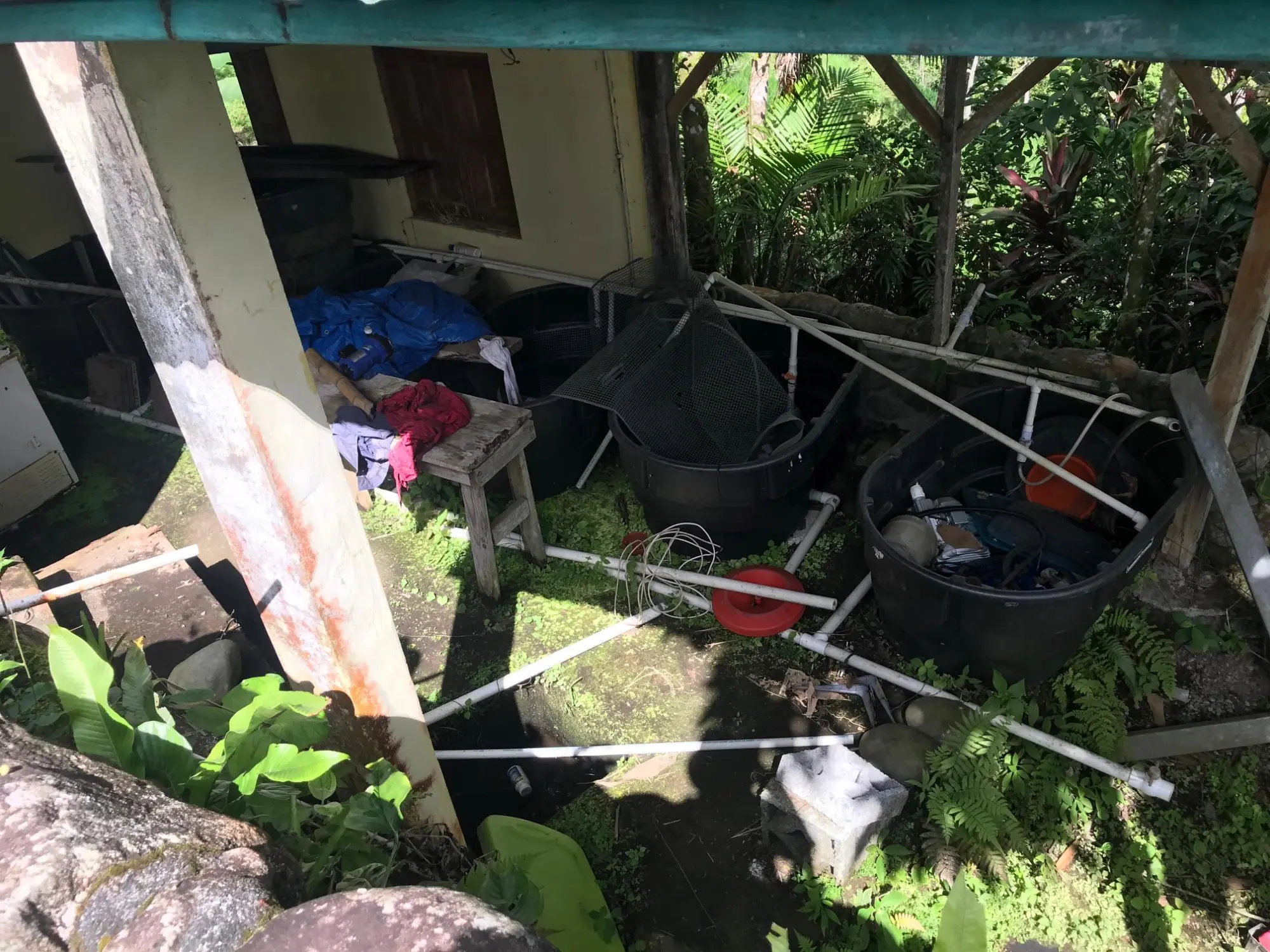 Bugaba Chiriqui - Photo 107