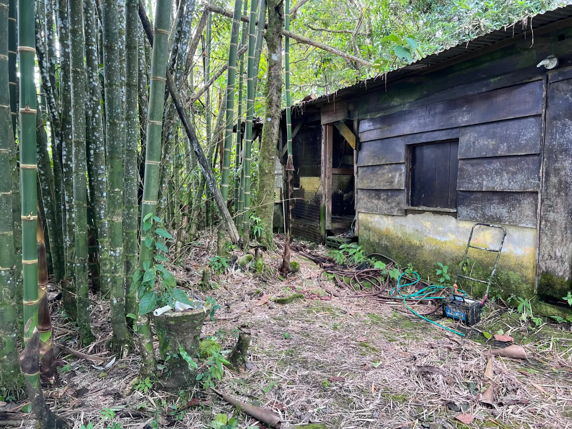 Bugaba Chiriqui - Photo 82