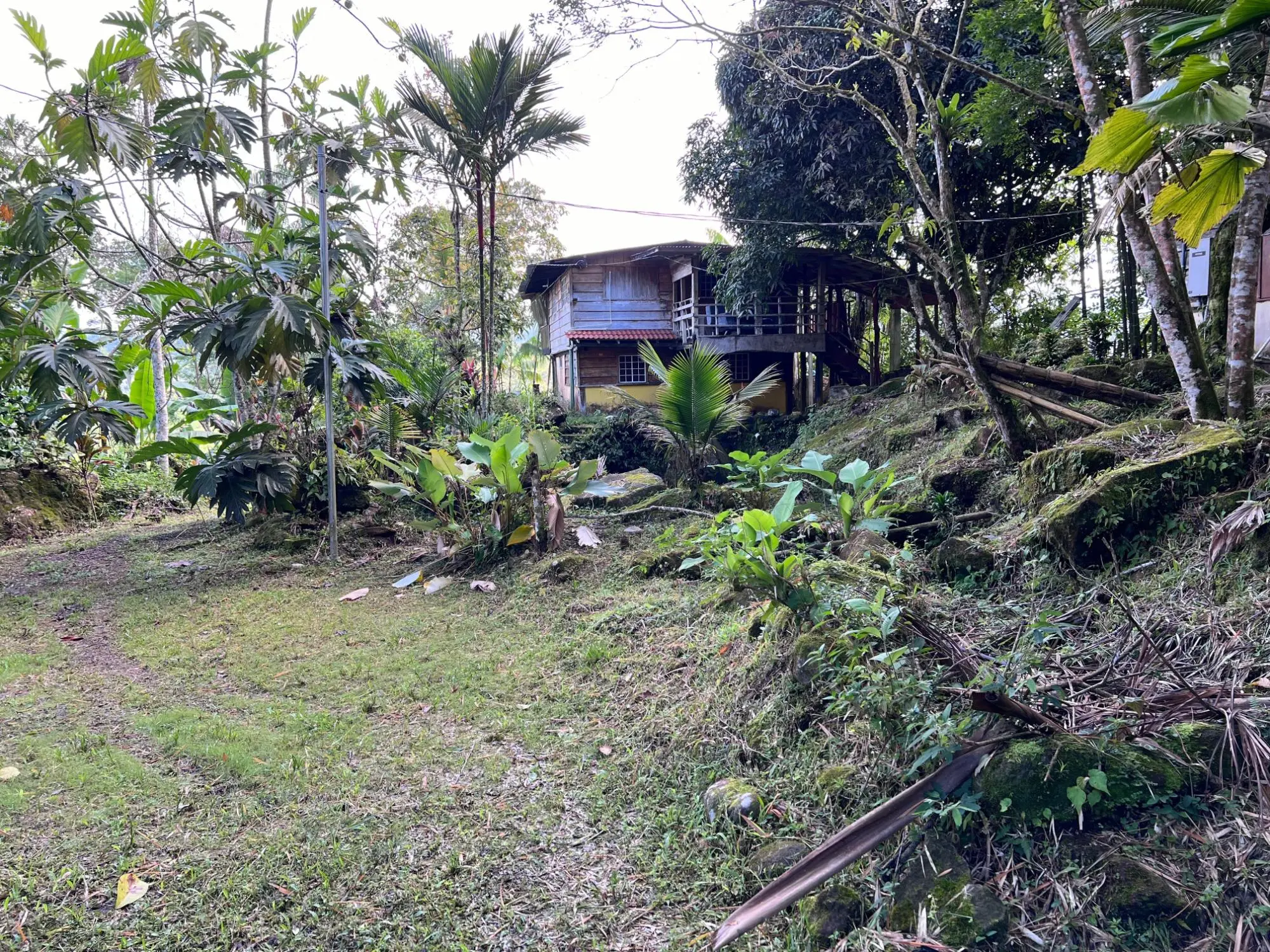 Bugaba Chiriqui - Photo 37