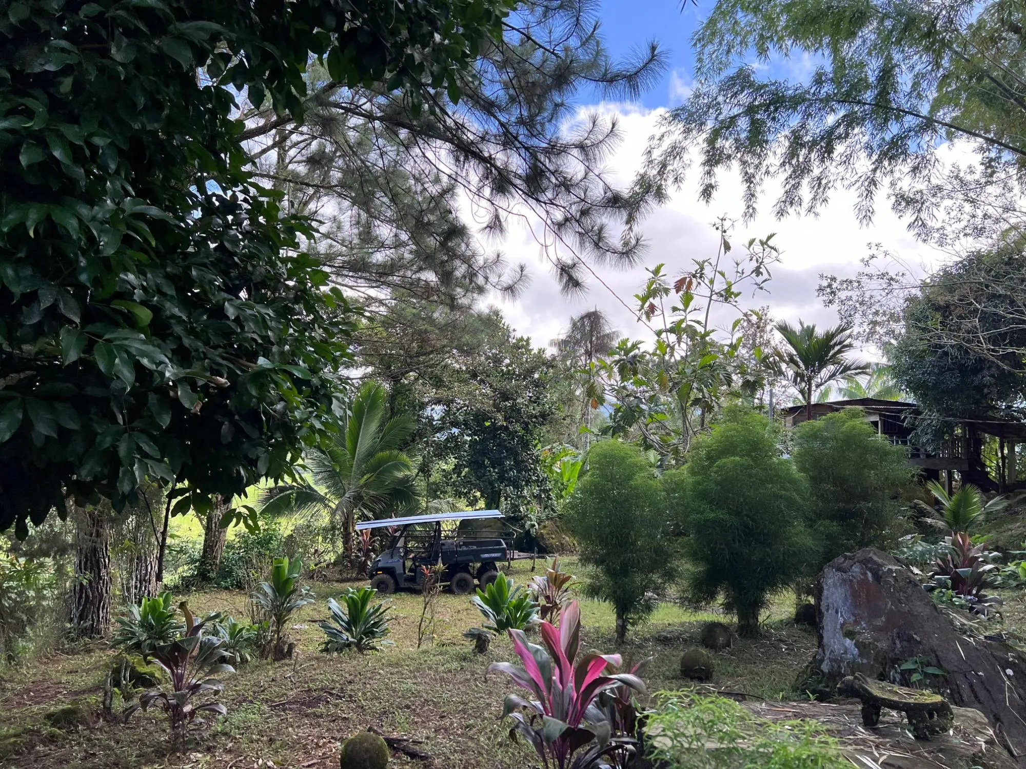 Bugaba Chiriqui - Photo 86