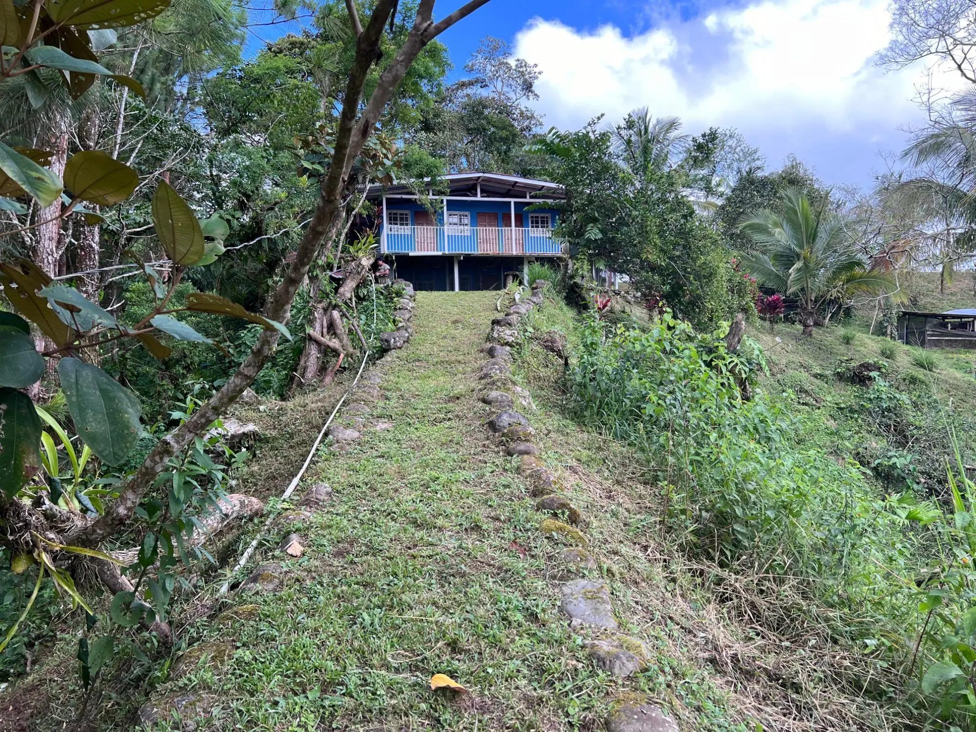 Bugaba Chiriqui - Photo 48