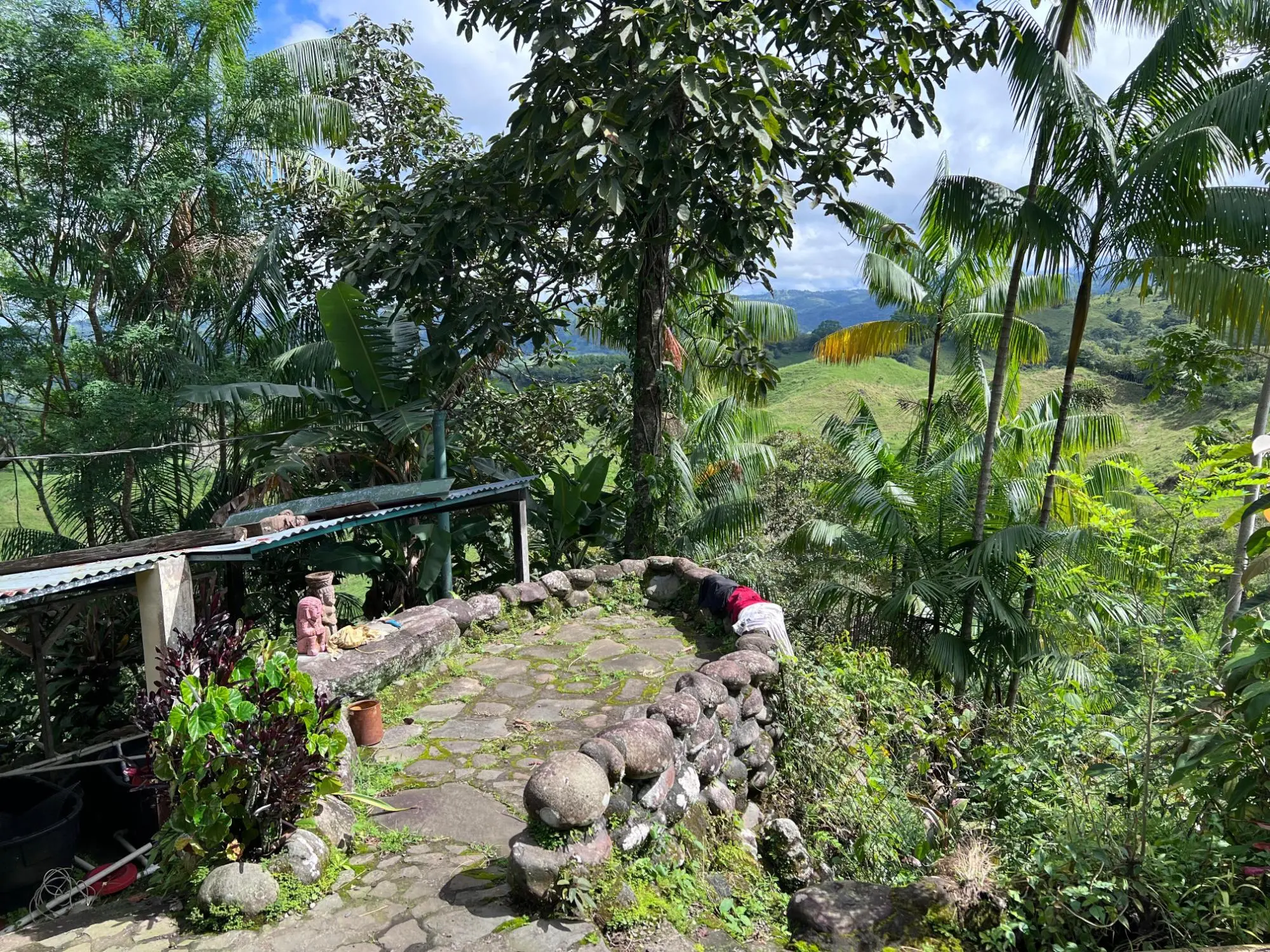 Bugaba Chiriqui - Photo 94