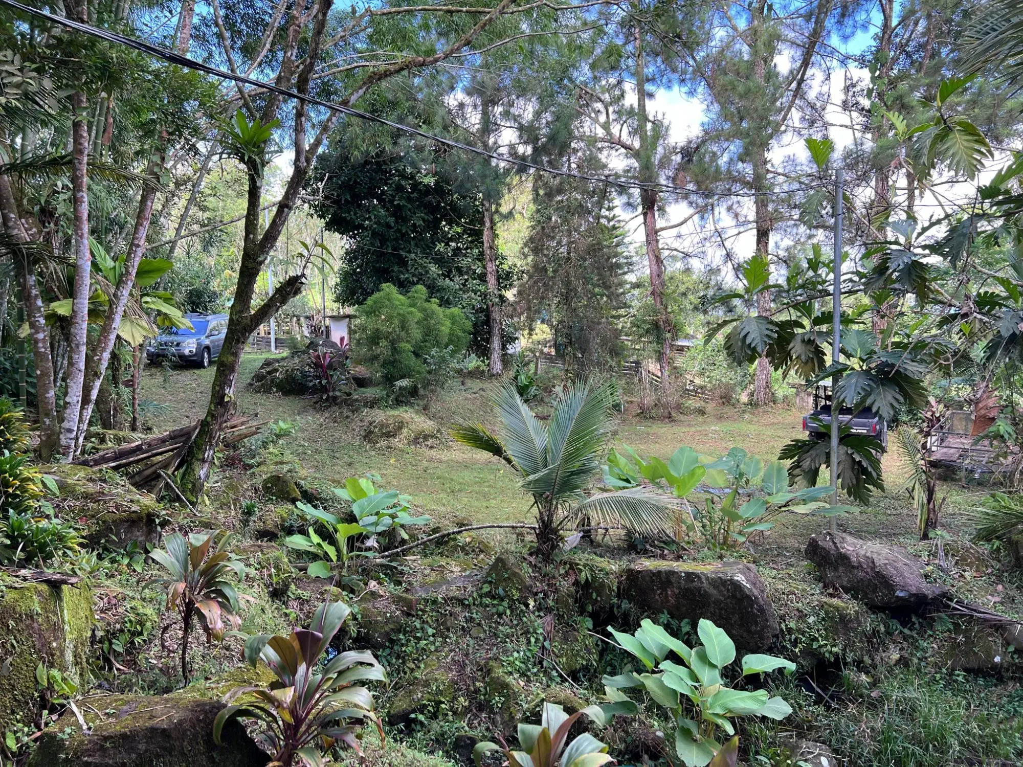 Bugaba Chiriqui - Photo 33