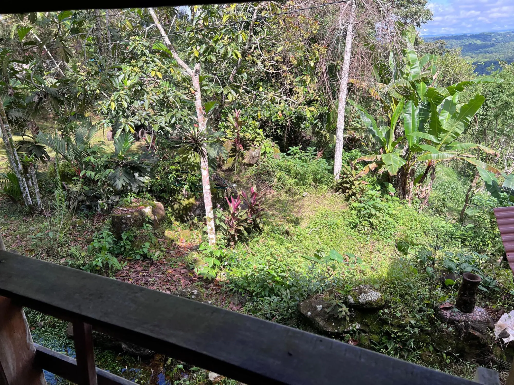 Bugaba Chiriqui - Photo 21