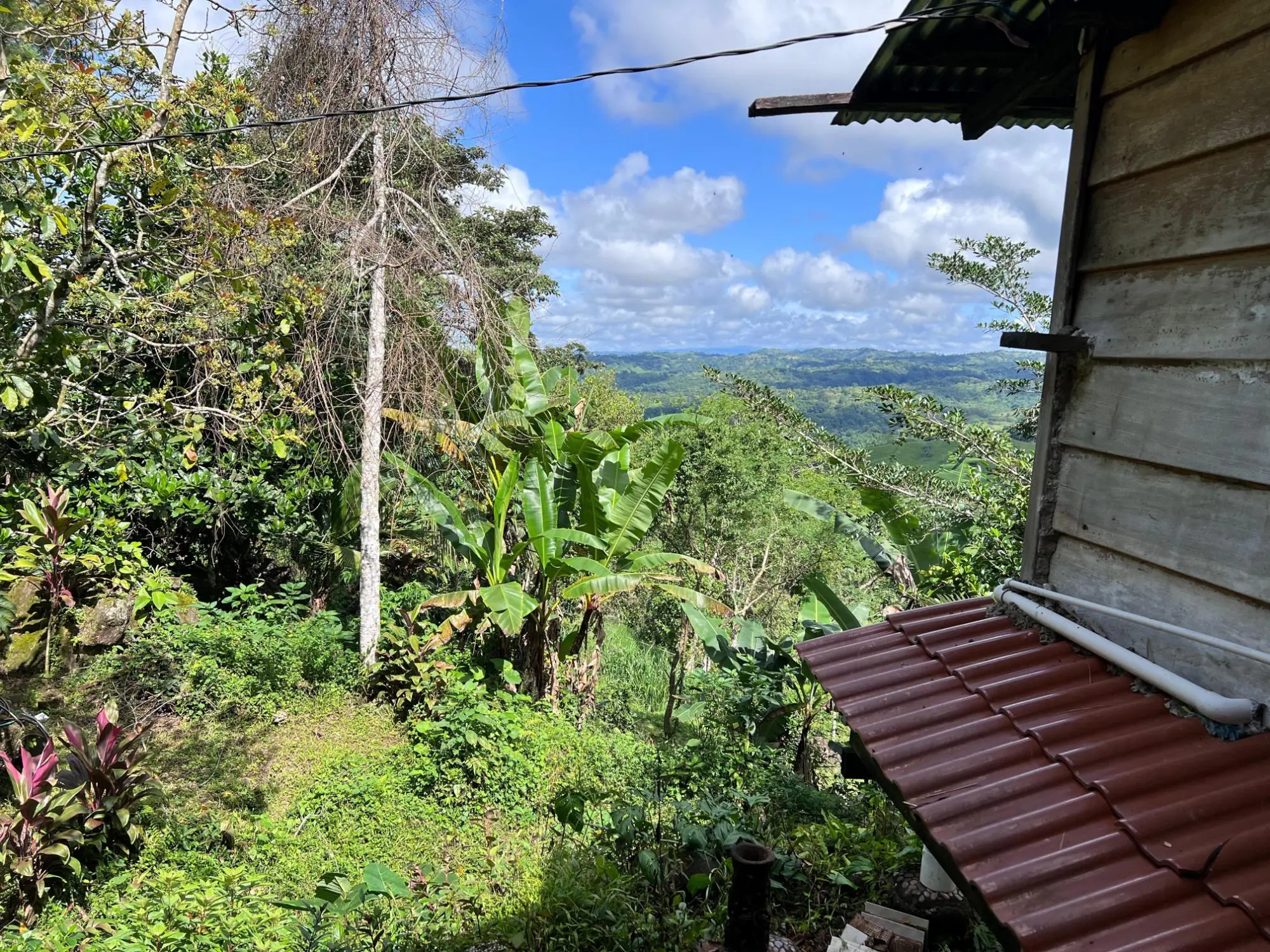 Bugaba Chiriqui - Photo 17