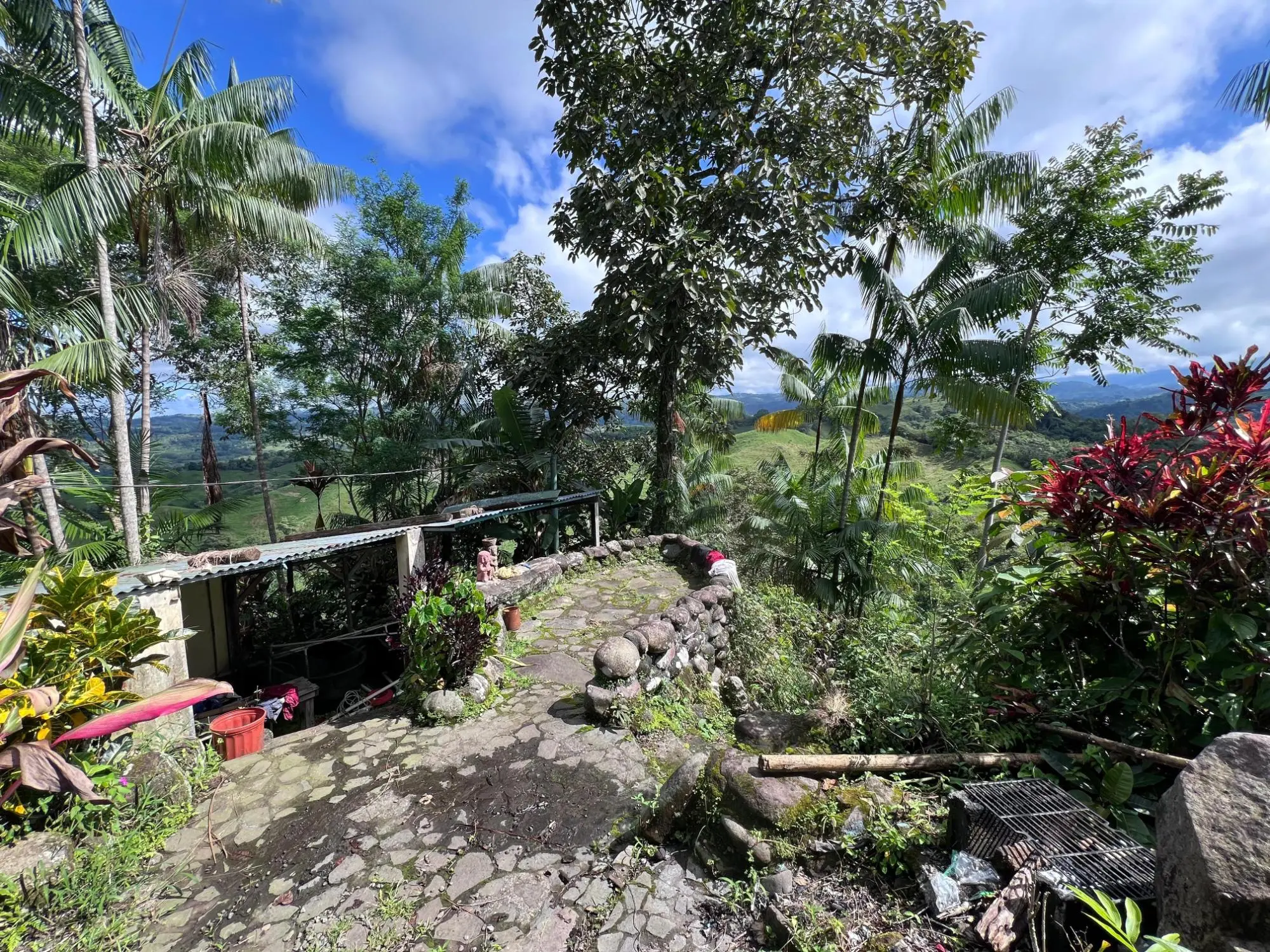 Bugaba Chiriqui - Photo 99