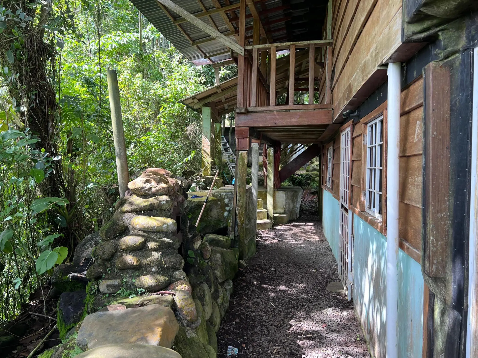 Bugaba Chiriqui - Photo 11