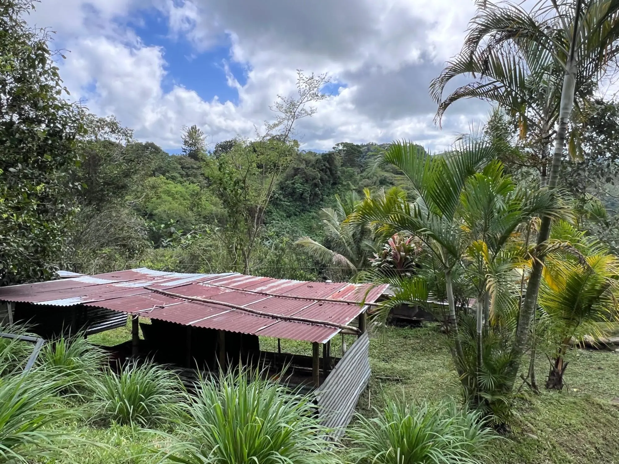 Bugaba Chiriqui - Photo 74