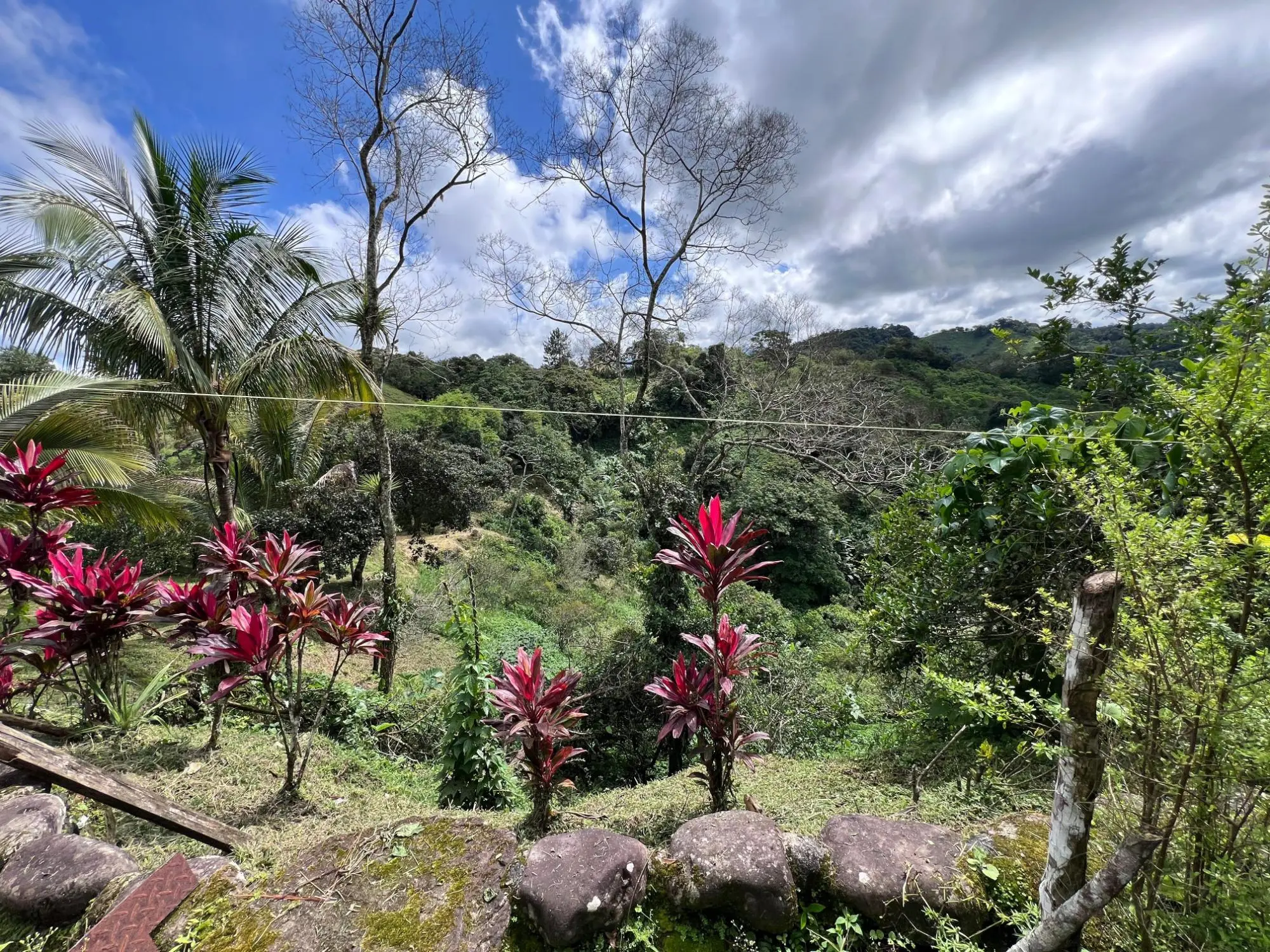 Bugaba Chiriqui - Photo 68