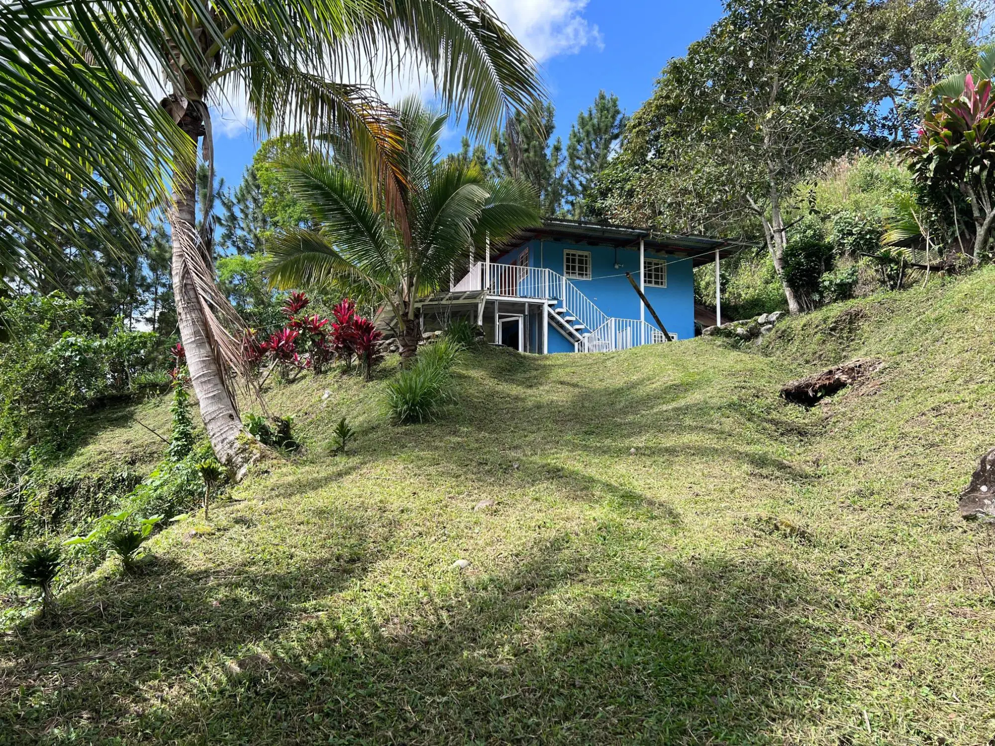 Bugaba Chiriqui - Photo 6