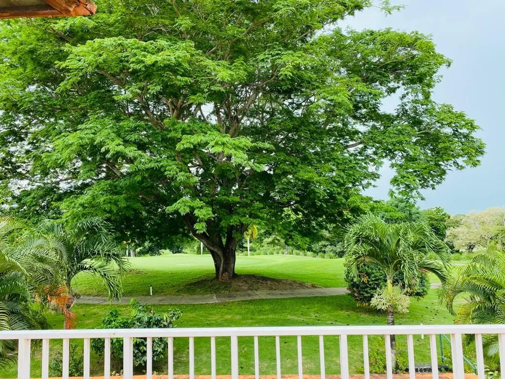 Costa Blanca Villas 6 Golf Garita 3 - Photo 55