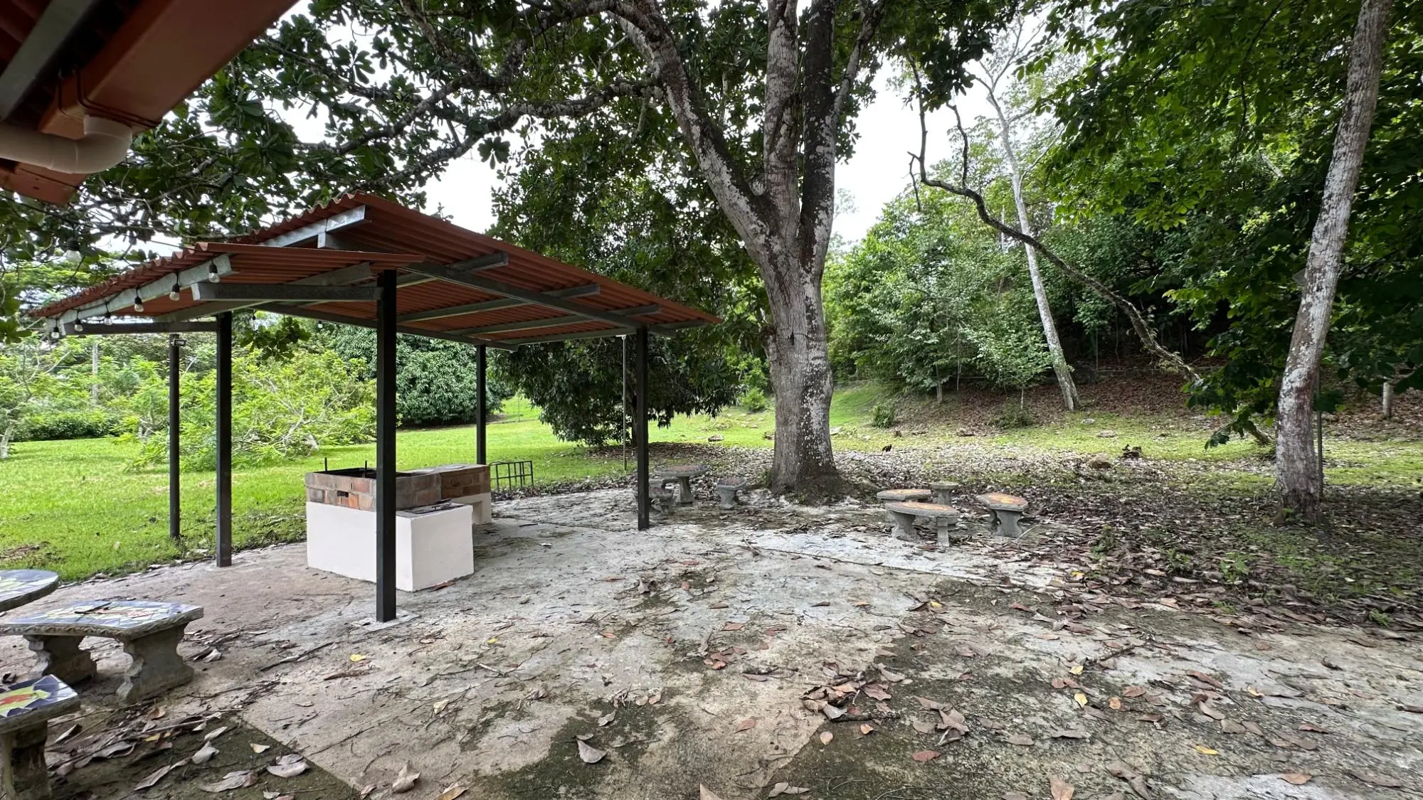 El Espino, Antón - Photo 64