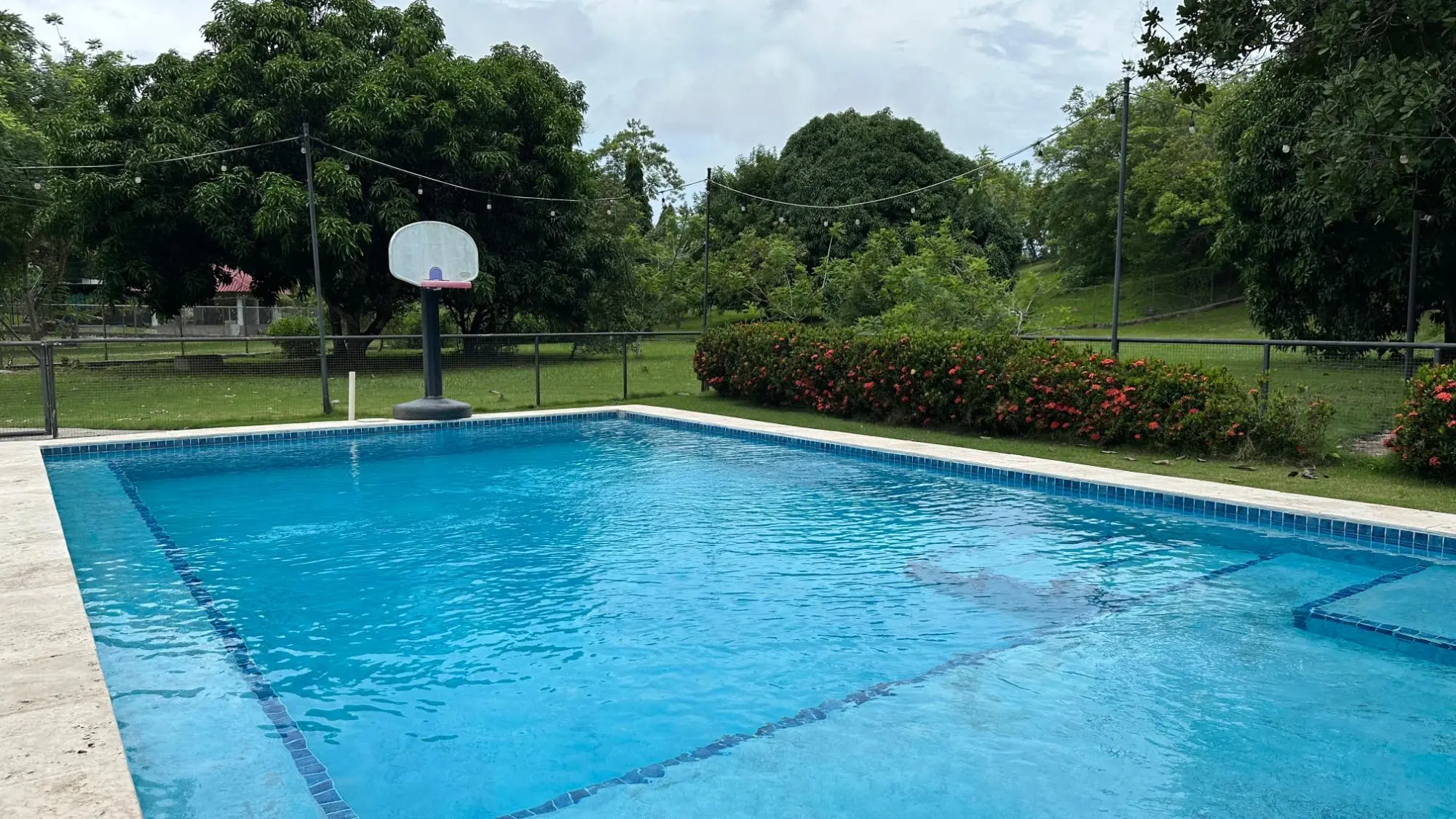 El Espino, Antón - Photo 60