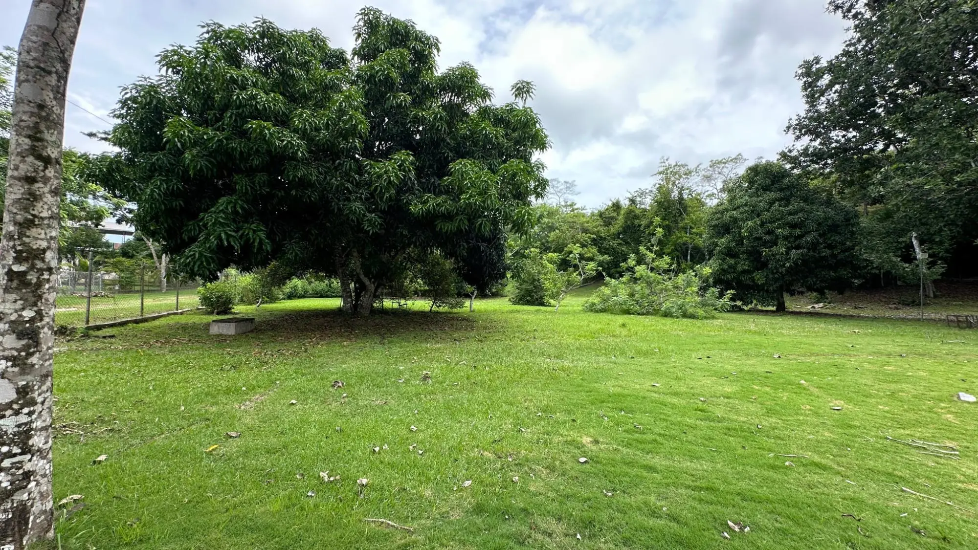 El Espino, Antón - Photo 77