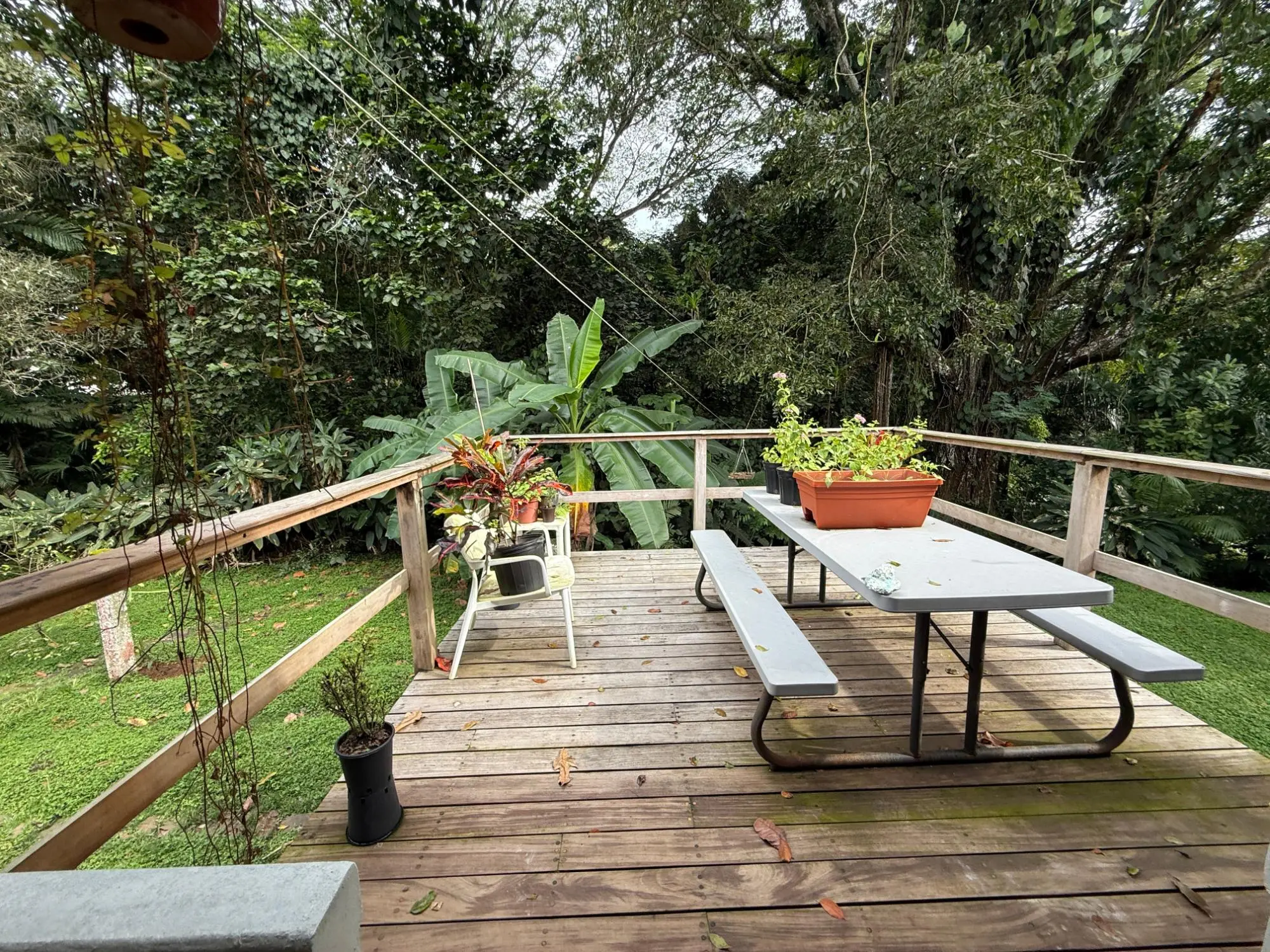 154 B 156 Williamson Avenue - Photo 54