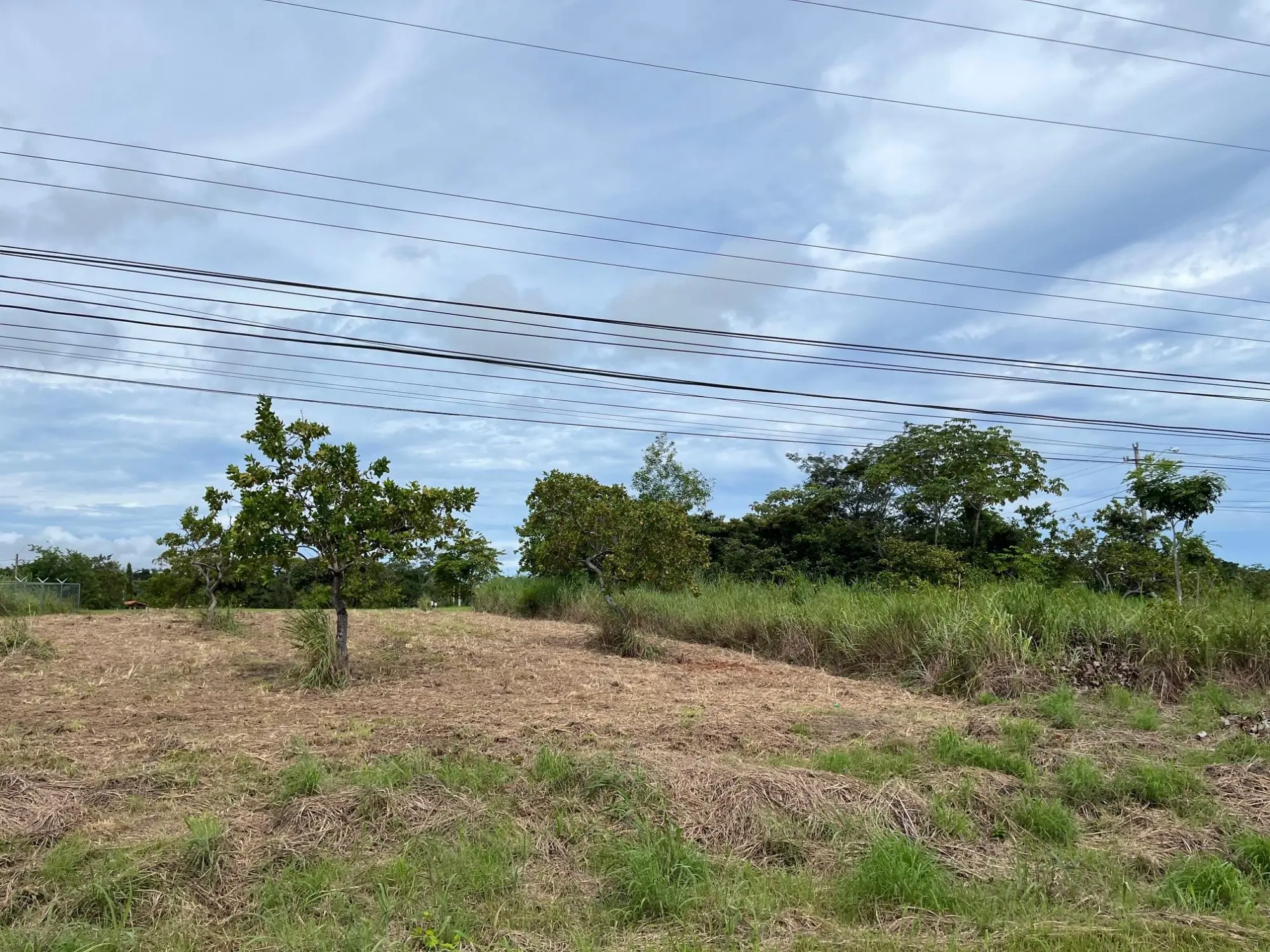 Coronado Coronado Ave. Boulevard #244 - Photo 6