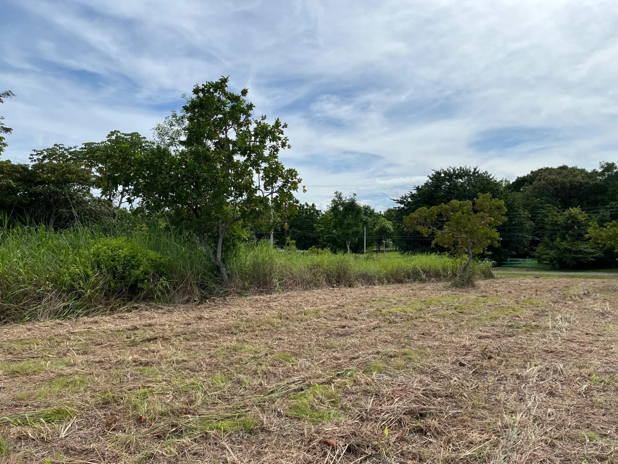 Coronado Coronado Ave. Boulevard #244 - Photo 11