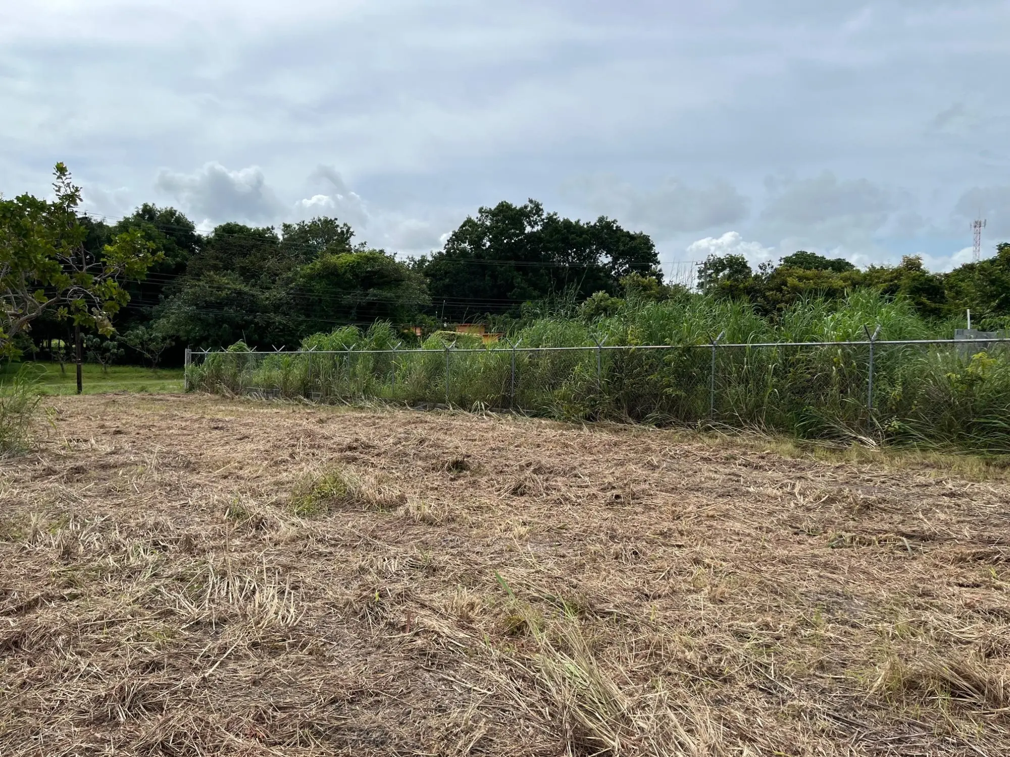 Coronado Coronado Ave. Boulevard #244 - Photo 13