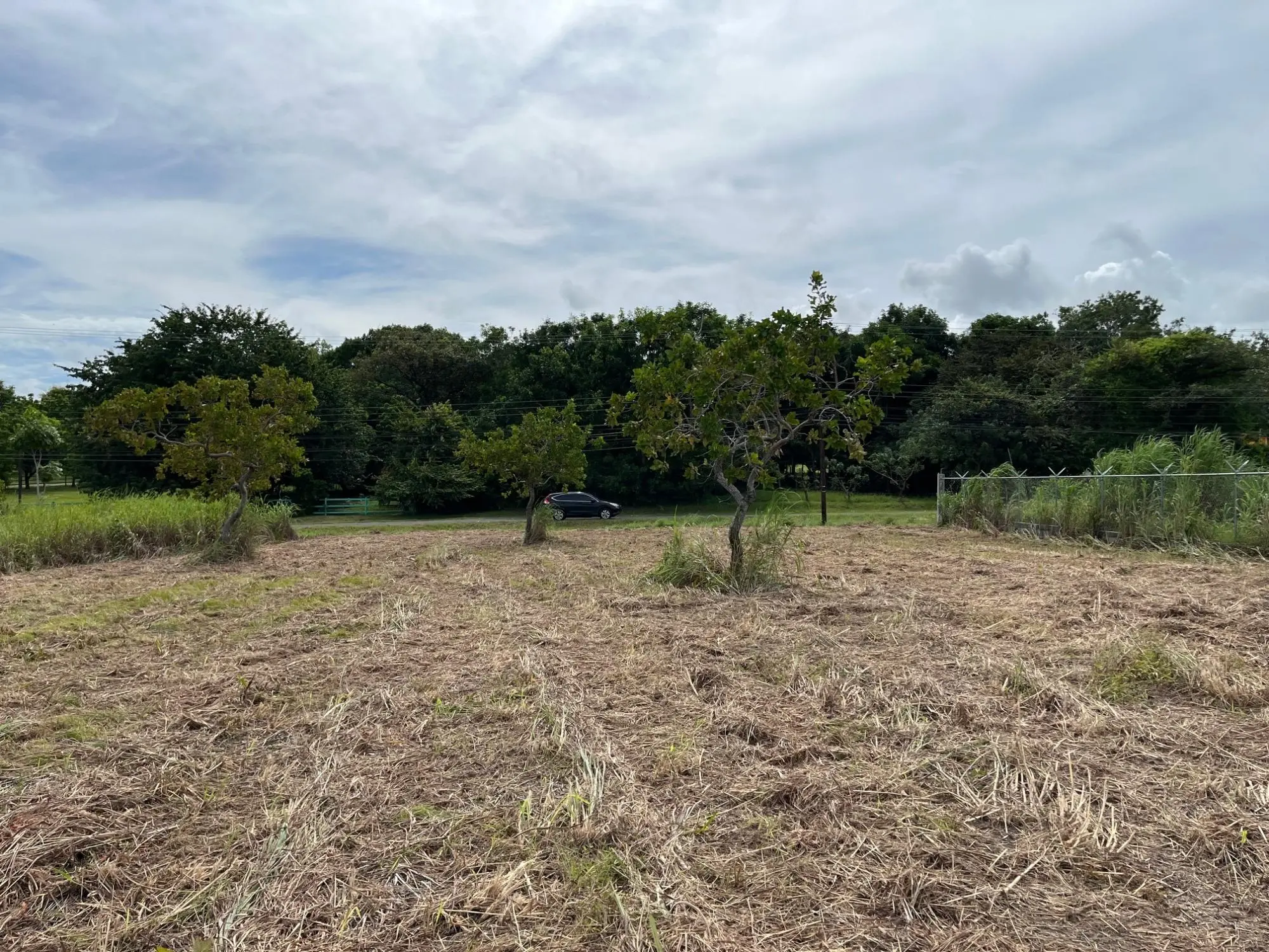 Coronado Coronado Ave. Boulevard #244 - Photo 9