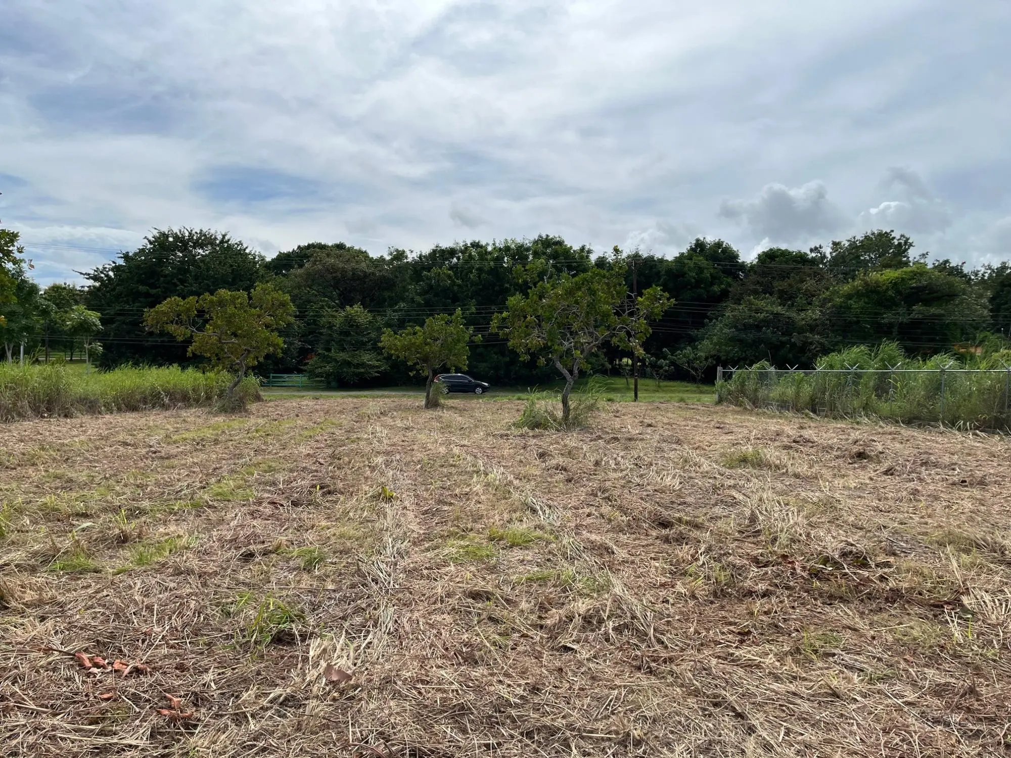 Coronado Coronado Ave. Boulevard #244 - Photo 18