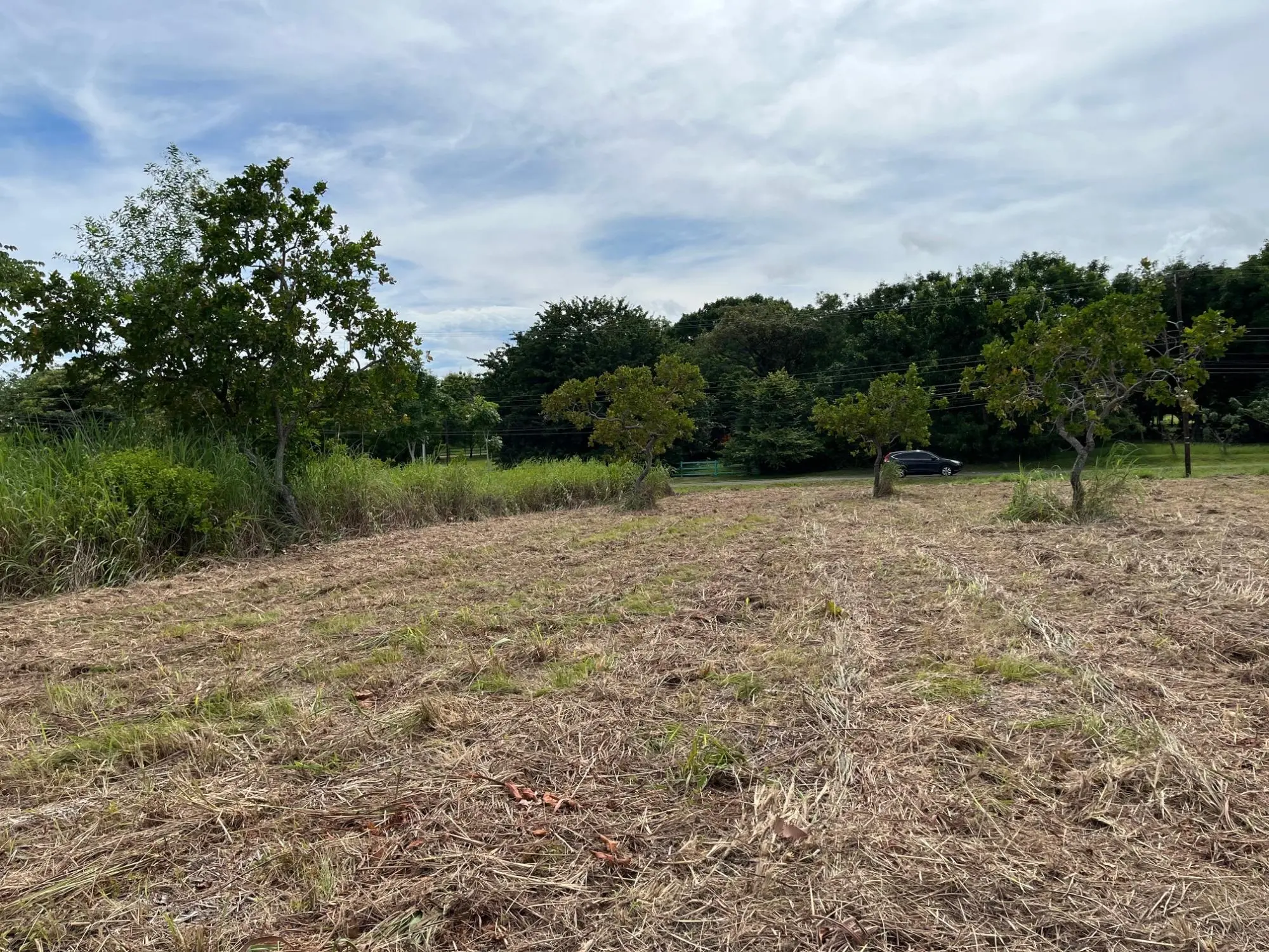 Coronado Coronado Ave. Boulevard #244 - Photo 23