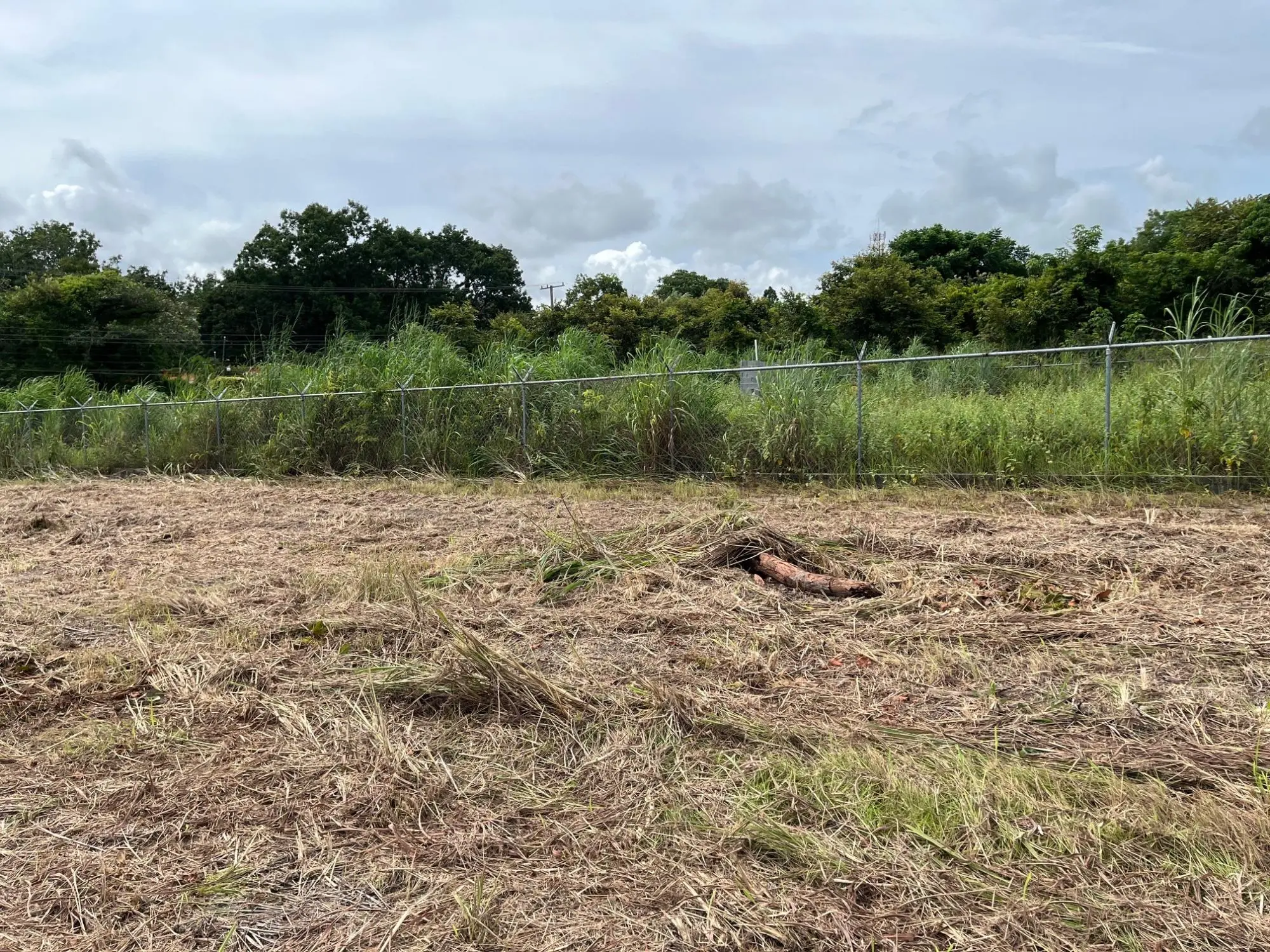 Coronado Coronado Ave. Boulevard #244 - Photo 20