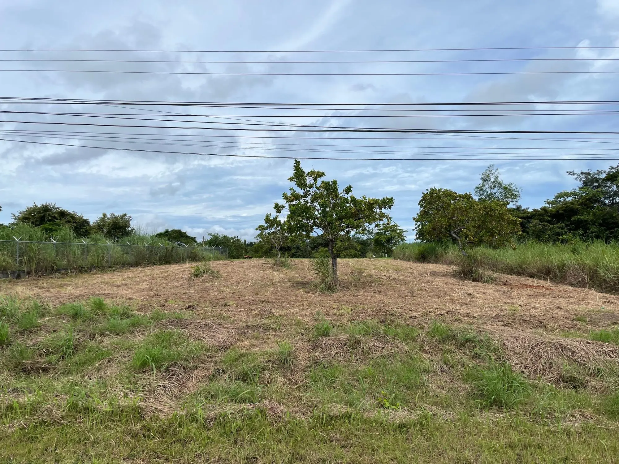 Coronado Coronado Ave. Boulevard #244 - Photo 3