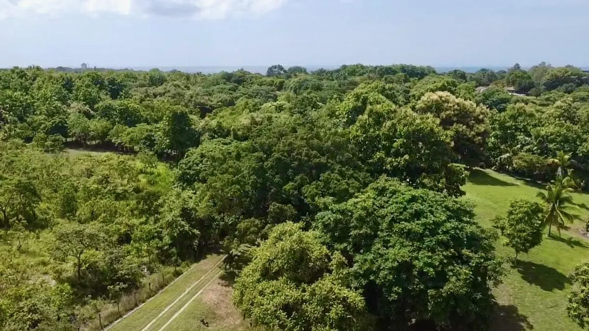 Via El Lago, Costa Esmeralda #sn - Photo 40