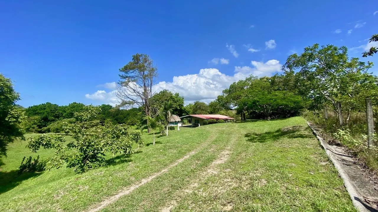 Via El Lago, Costa Esmeralda #sn - Photo 9