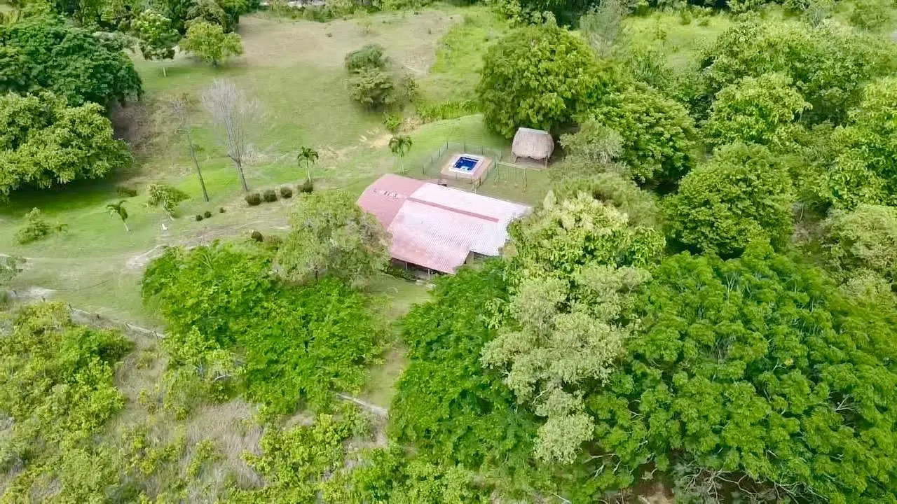 Via El Lago, Costa Esmeralda #sn - Photo 38