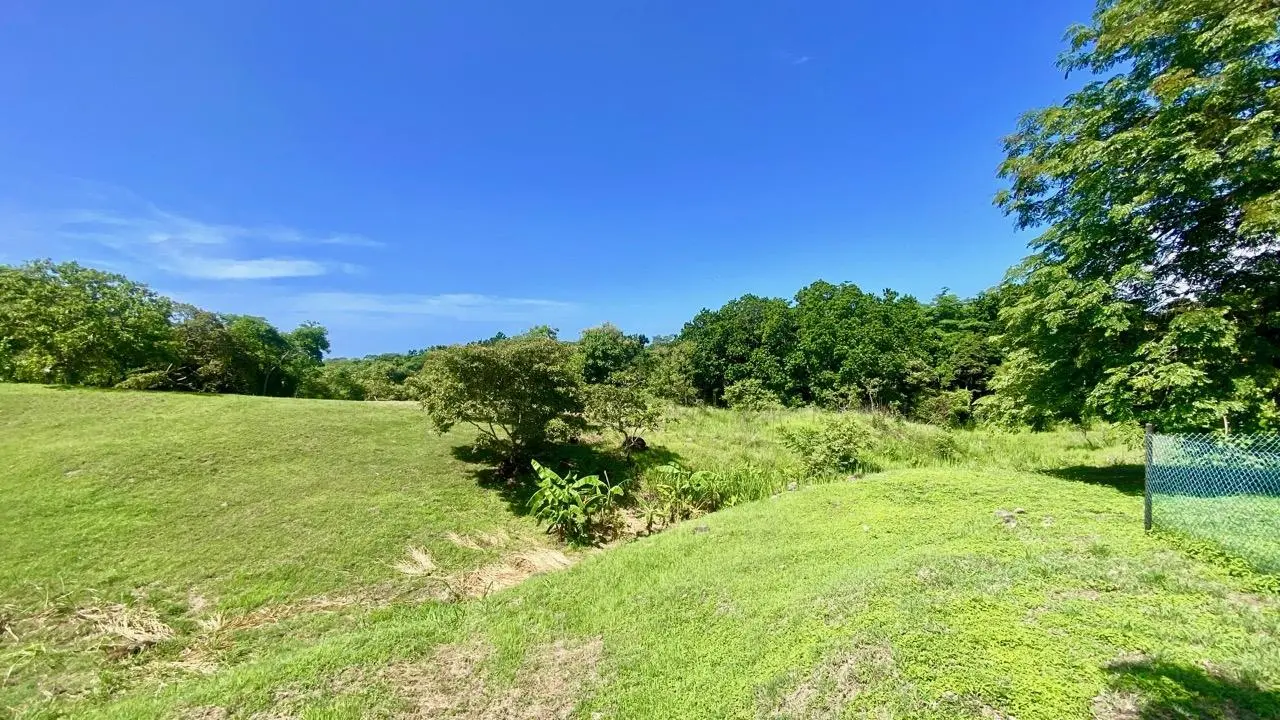 Via El Lago, Costa Esmeralda #sn - Photo 11