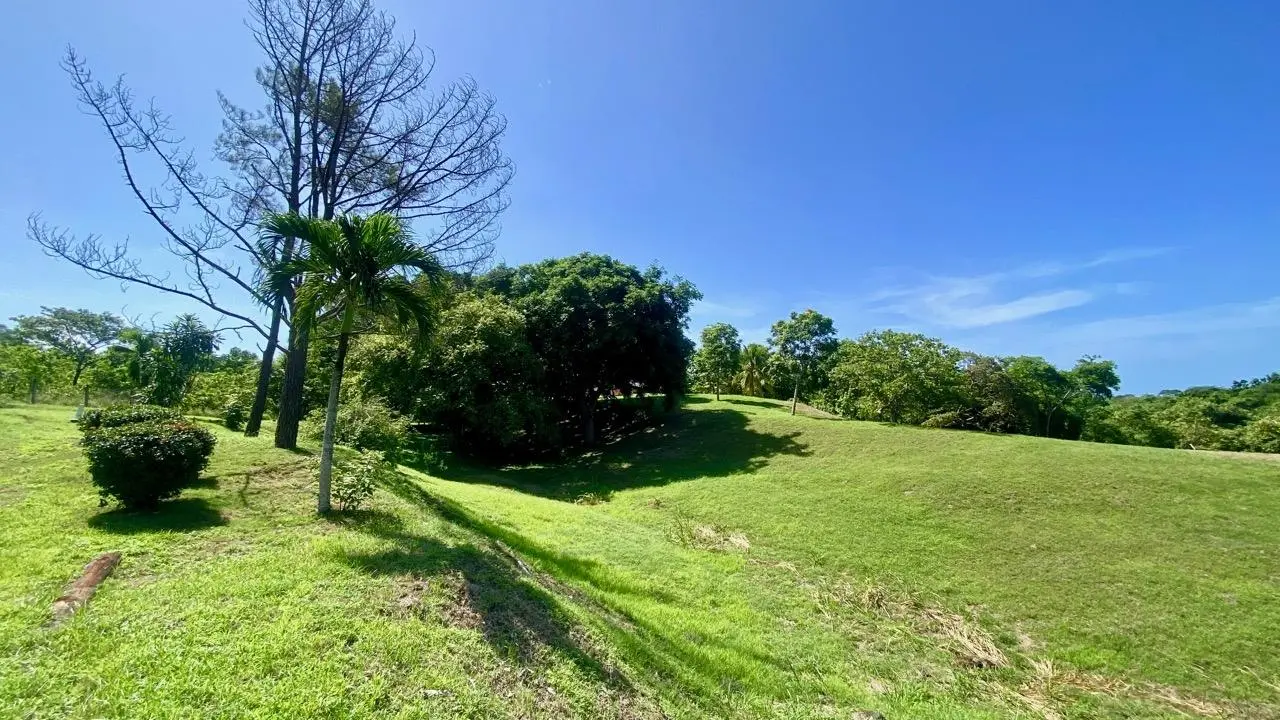 Via El Lago, Costa Esmeralda #sn - Photo 13