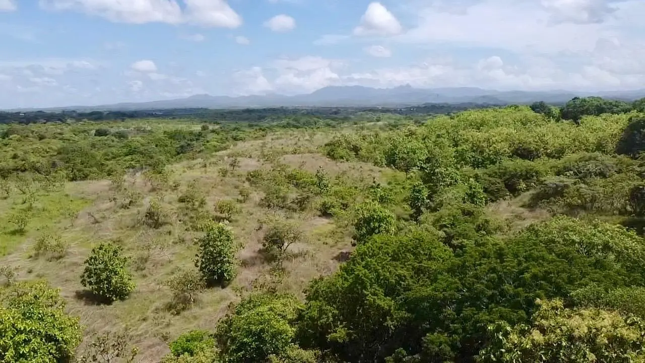 Via El Lago, Costa Esmeralda #sn - Photo 45