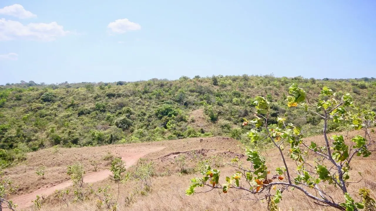 Calle Privada ##1 - Photo 18