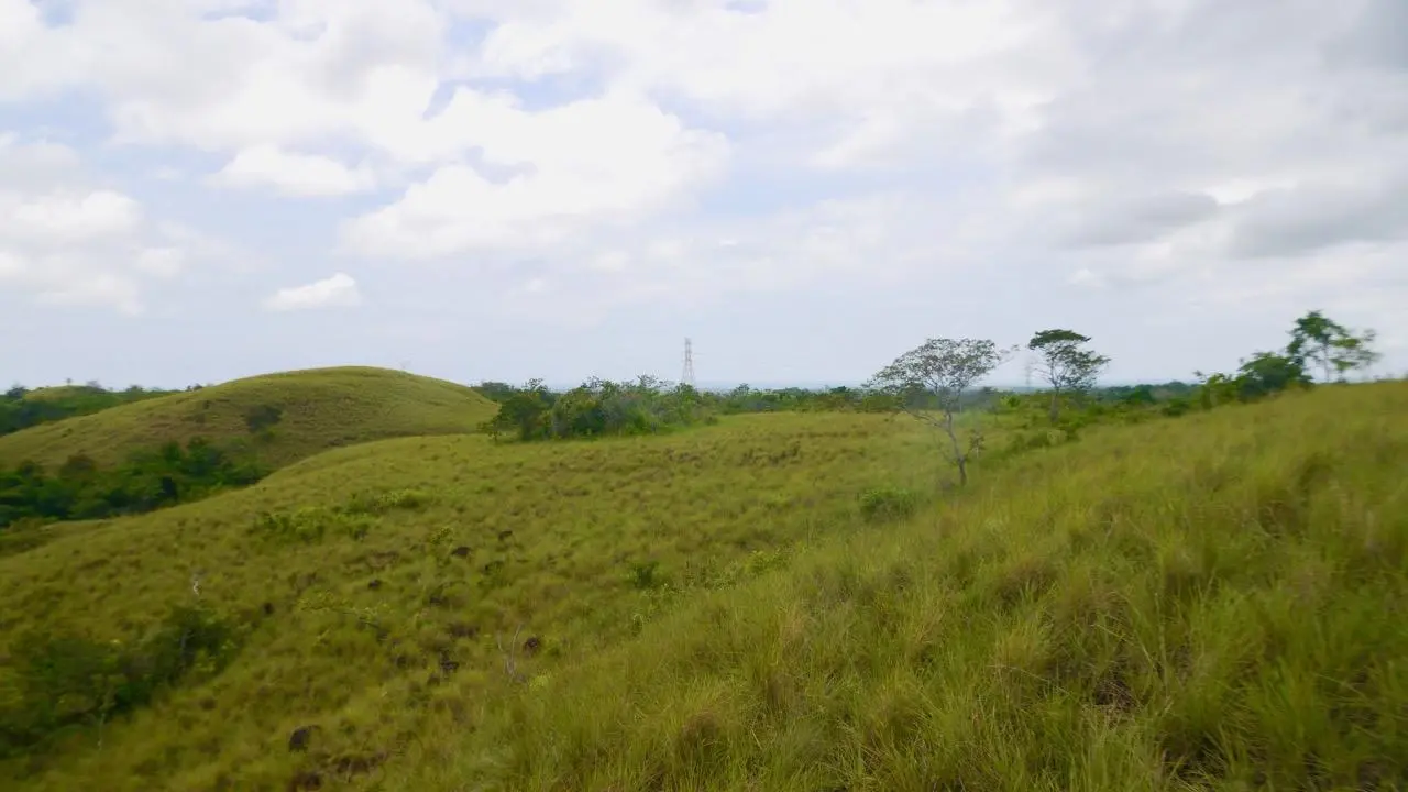 Calle Privada ##1 - Photo 19