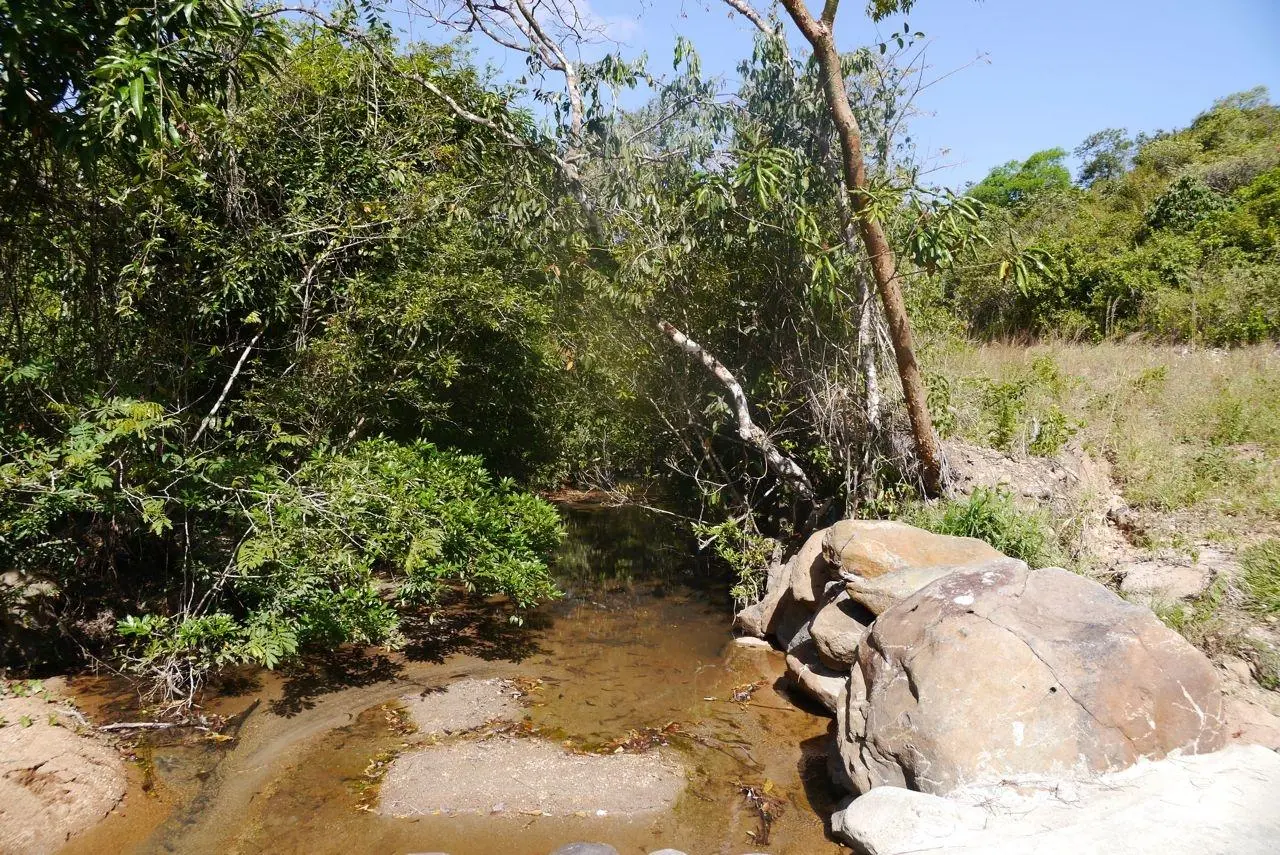 Calle Privada ##1 - Photo 5