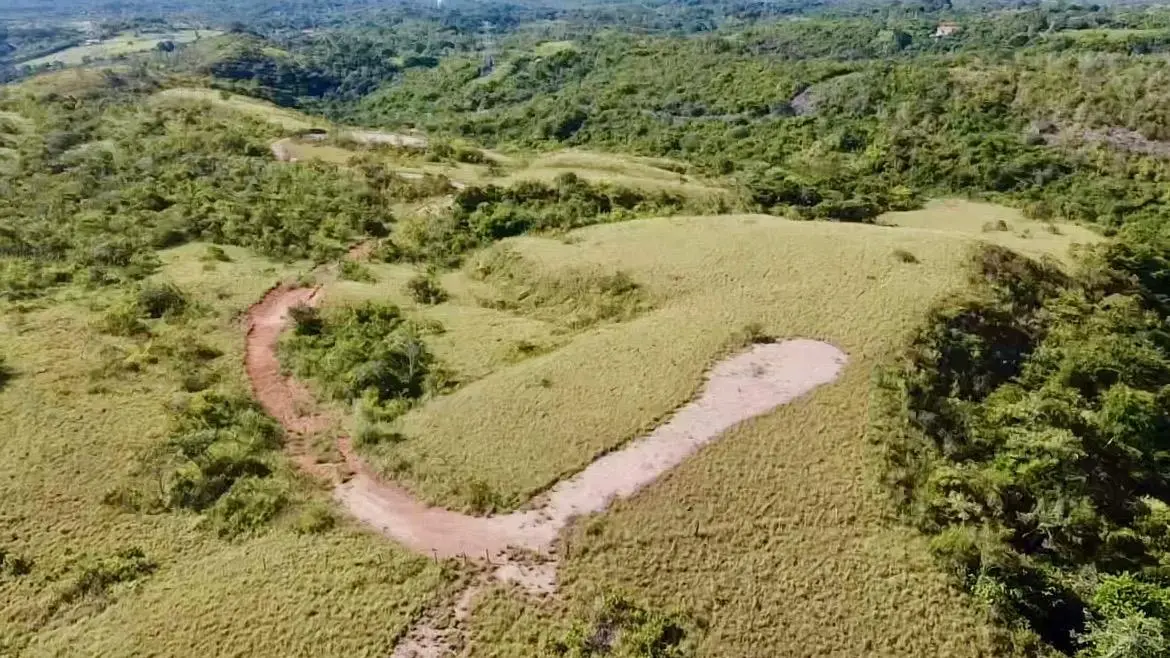 Calle Privada ##1 - Photo 10