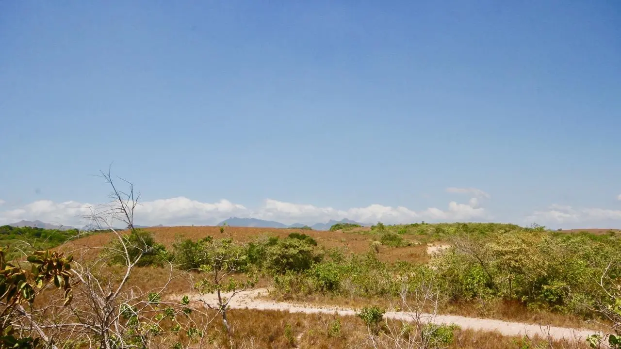 Calle Privada ##1 - Photo 14