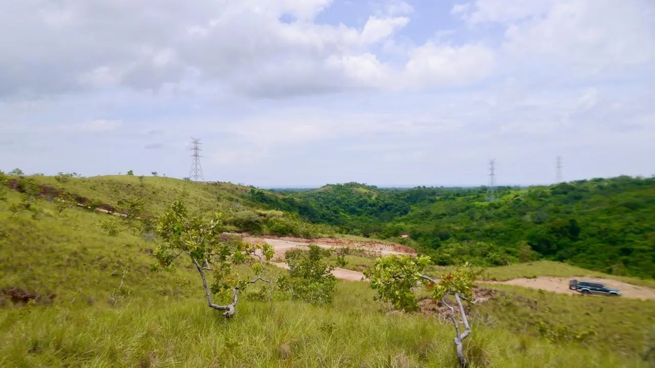 Calle Privada ##1 - Photo 31