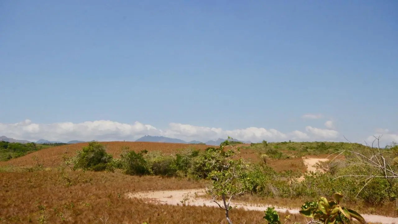 Calle Privada ##1 - Photo 48