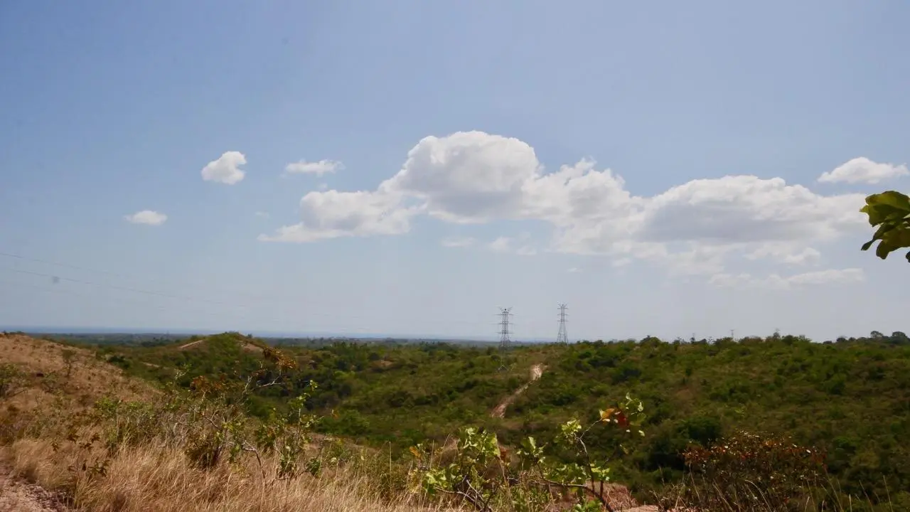 Calle Privada ##1 - Photo 27