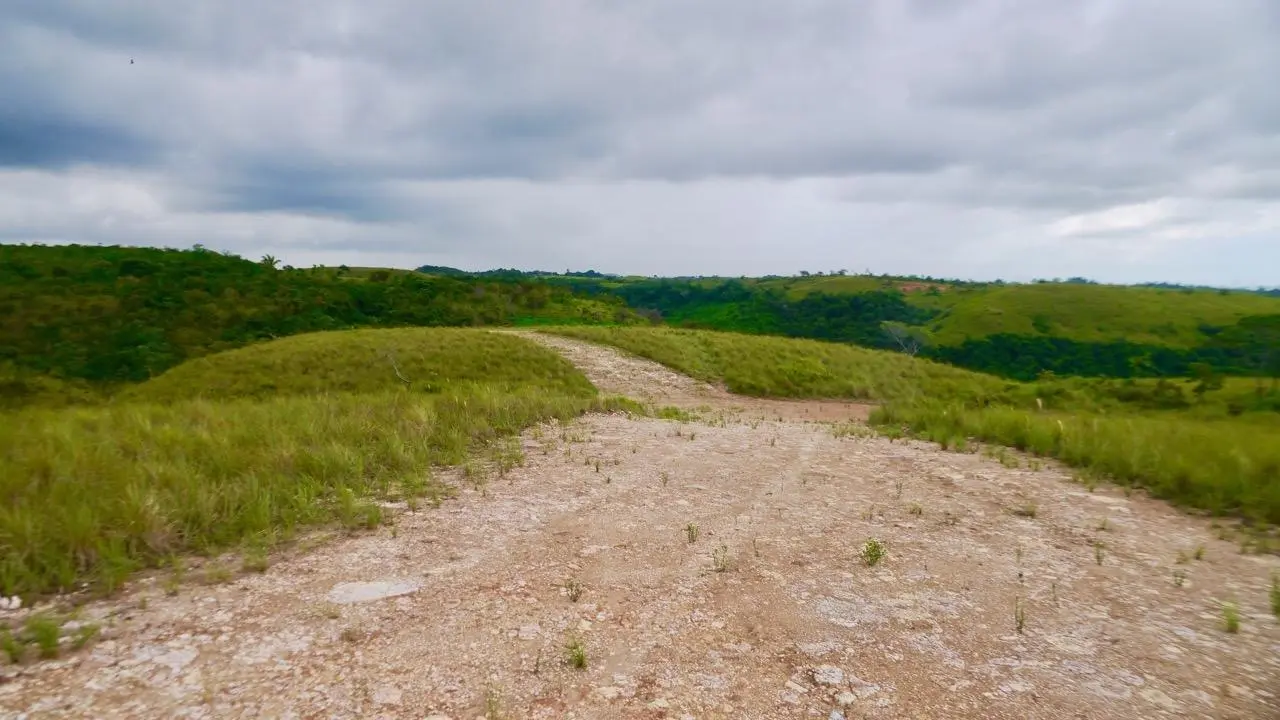 Calle Privada ##1 - Photo 38