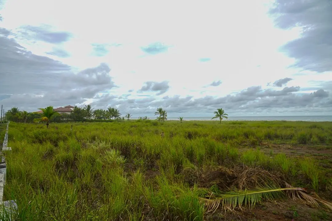 Alanje Chiriqui Panama - Photo 49