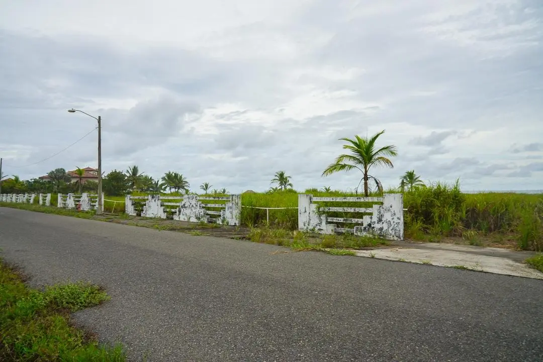 Alanje Chiriqui Panama - Photo 35