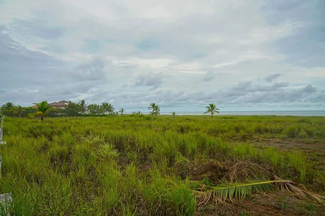 Alanje Chiriqui Panama - Photo 53