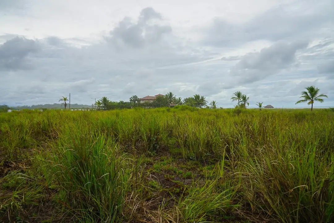 Alanje Chiriqui Panama - Photo 66