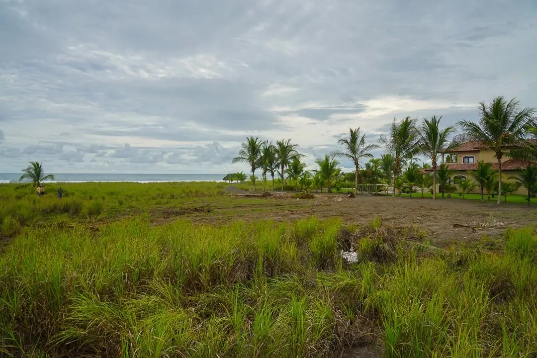 Alanje Chiriqui Panama - Photo 42