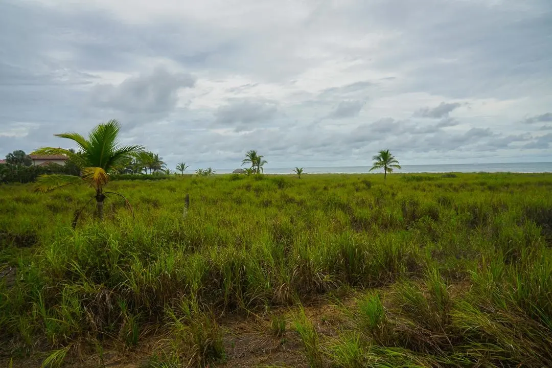 Alanje Chiriqui Panama - Photo 74